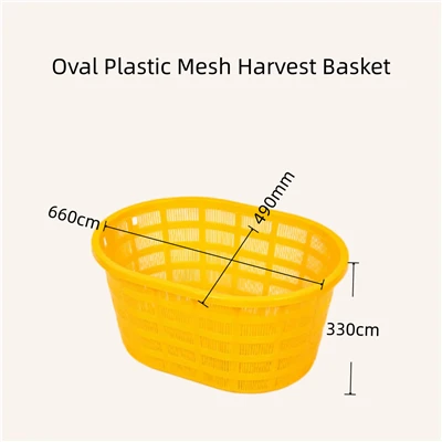 Basket Harvest Mogalra Plaisteacha Oval